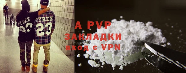 дмт Бородино