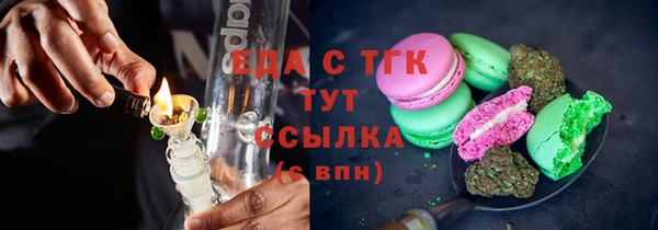дмт Бородино