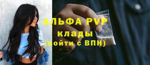дмт Бородино