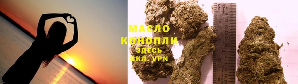 дмт Бородино