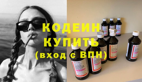 дмт Бородино