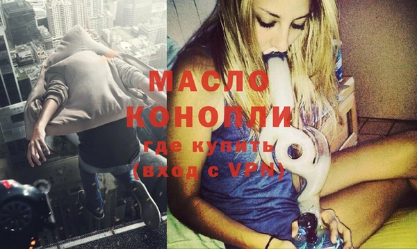 дмт Бородино