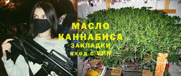 дмт Бородино