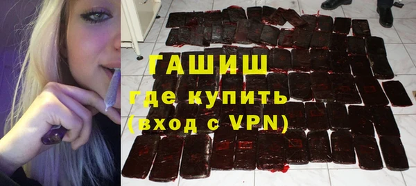 дмт Бородино