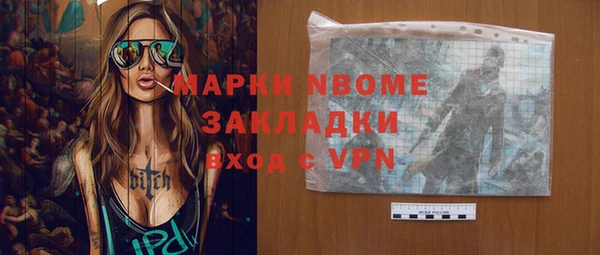 дмт Бородино