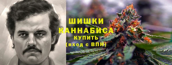 крисы Бронницы