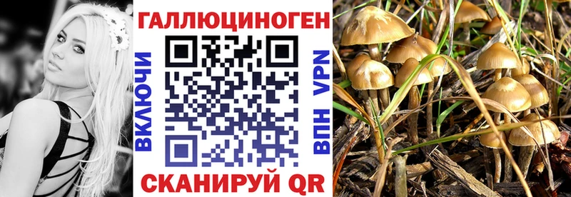 Псилоцибиновые грибы мухоморы  Купить  Верхний Тагил 